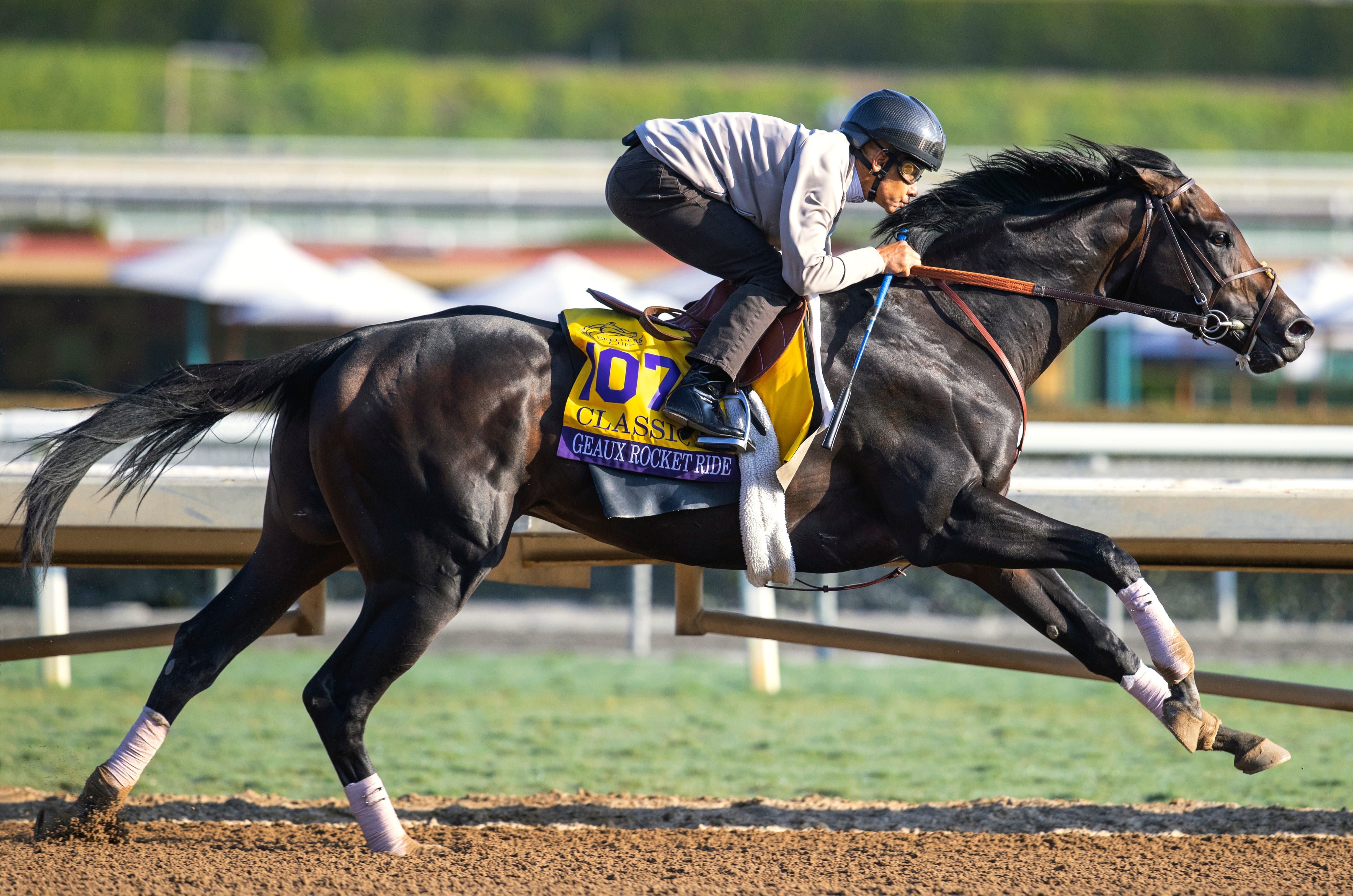 Geaux Rocket Ride suffers foreleg injury in work for BC Classic will